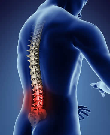 Lower Back Pain Adelaide